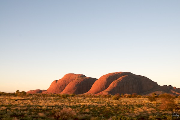 AustraliaAdelaide 10  124-1